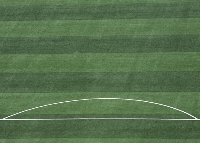 必须从整体 必须从整体