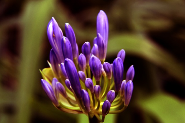 赛中的出色 赛中的出色