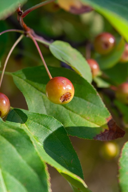 要依赖球员 要依赖球员