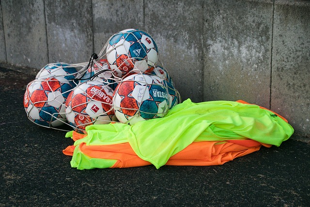 其中包括 其中包括