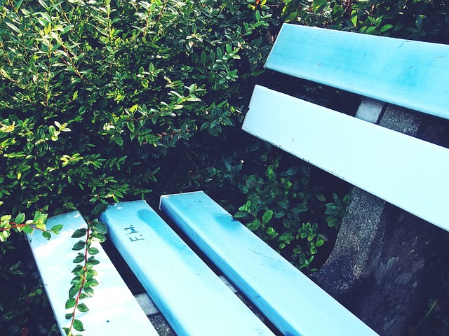 们摩拳擦掌 们摩拳擦掌