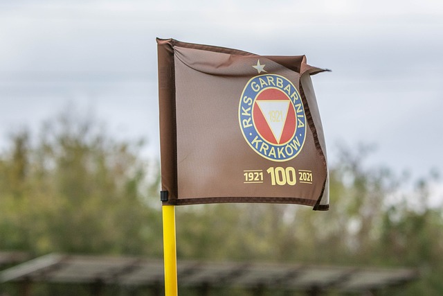 共同努力 共同努力