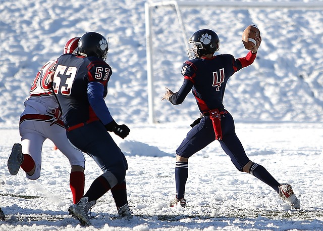 以及业内人 以及业内人