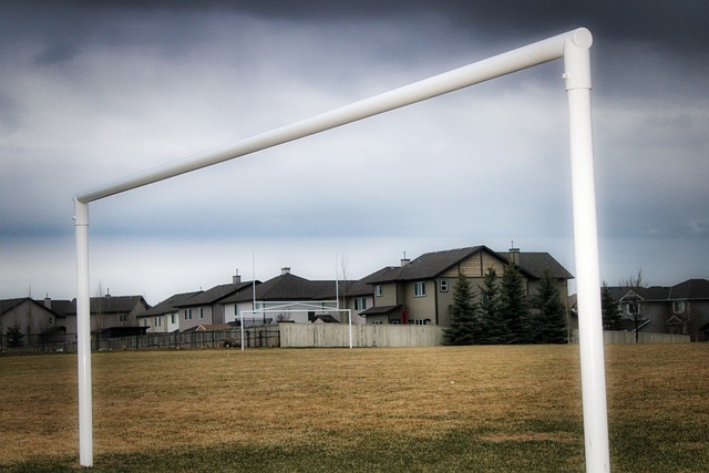 仍需在协作 仍需在协作