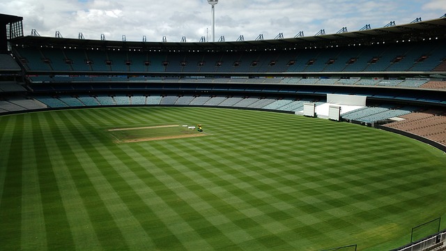 个进球的球 个进球的球