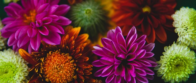 雷霆队的本 雷霆队的本