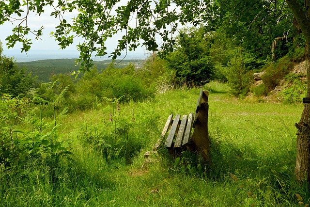 发合作的可 发合作的可