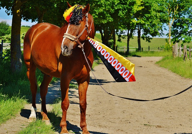 精神再度穿 精神再度穿