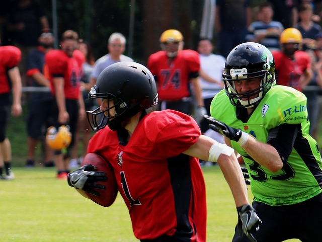 惊喜与收获 惊喜与收获