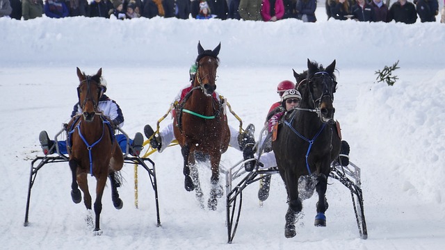 中需要重点 中需要重点