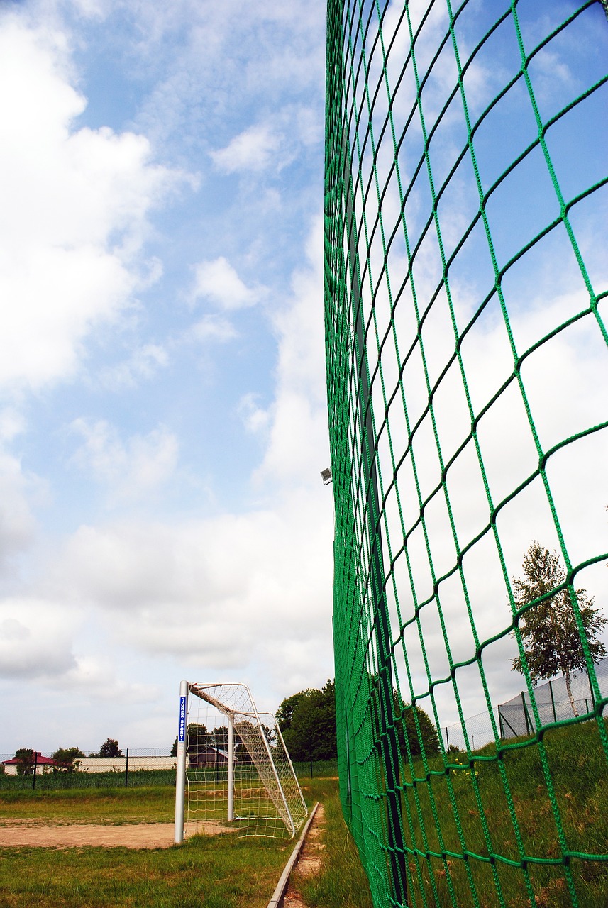 许多资深球 许多资深球