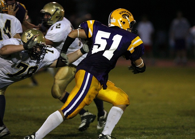 英超名人堂2023候選人：內馬尼亞·維迪奇.